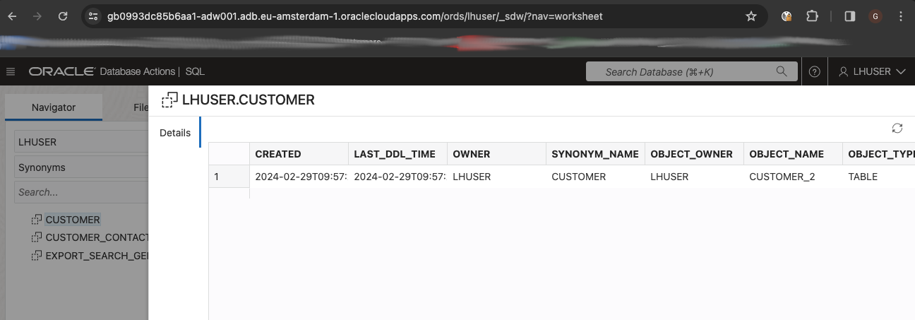 Fig.27: Region2, ADW CUSTOMER Synonym metadata