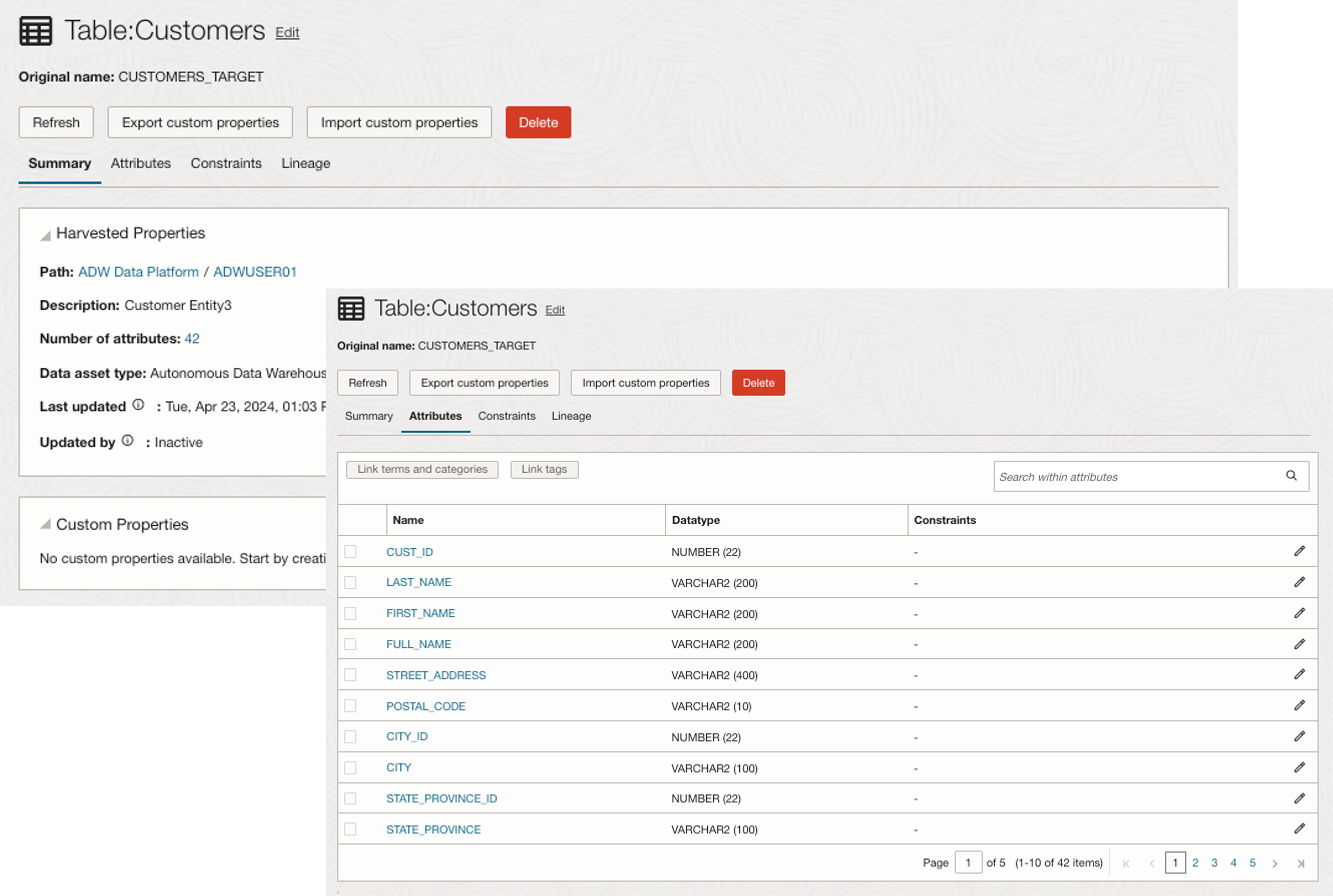 Fig.5: OCI Data Catalog Technical Metadata